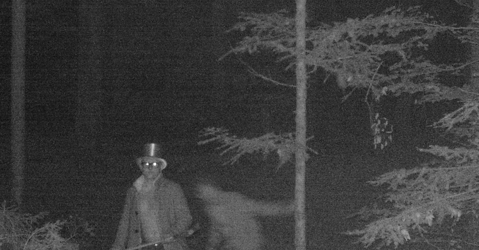 WolfWolf, 2-Man Garage Punk Blues Trash Band